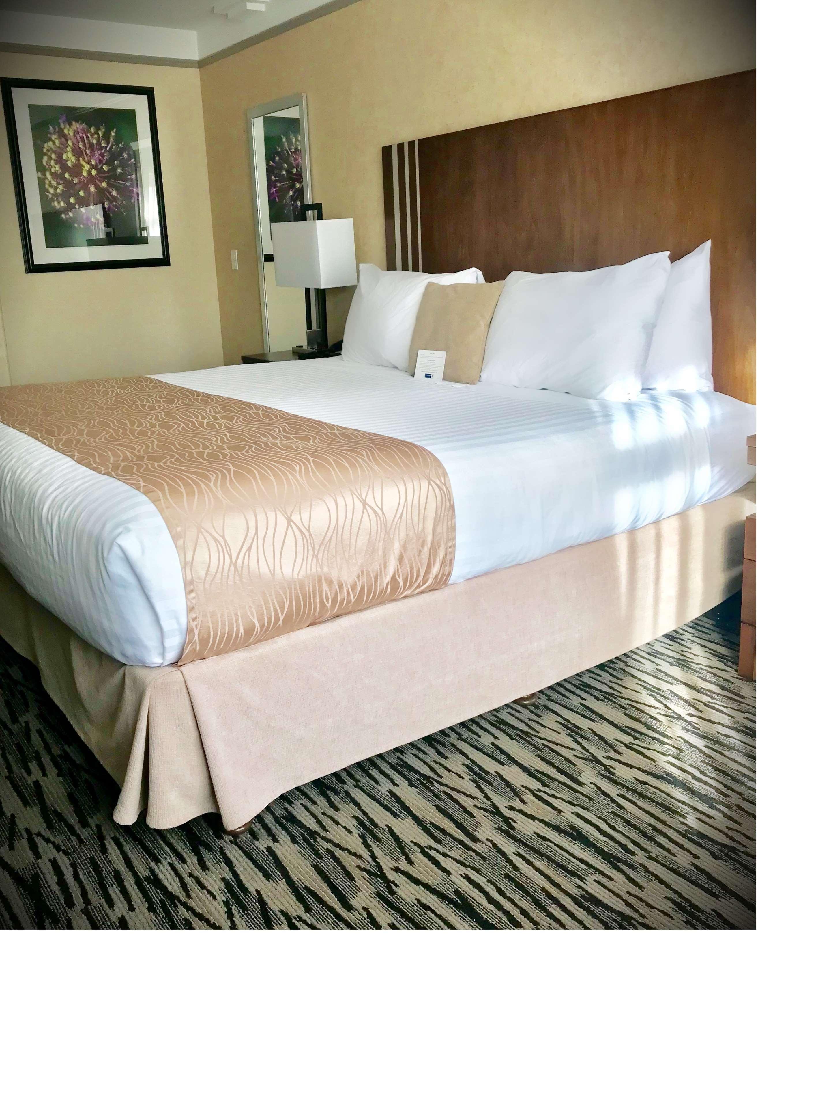 Western & 3* Pitt Meadows